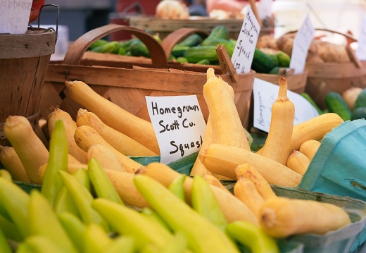 Farmer's Market in August